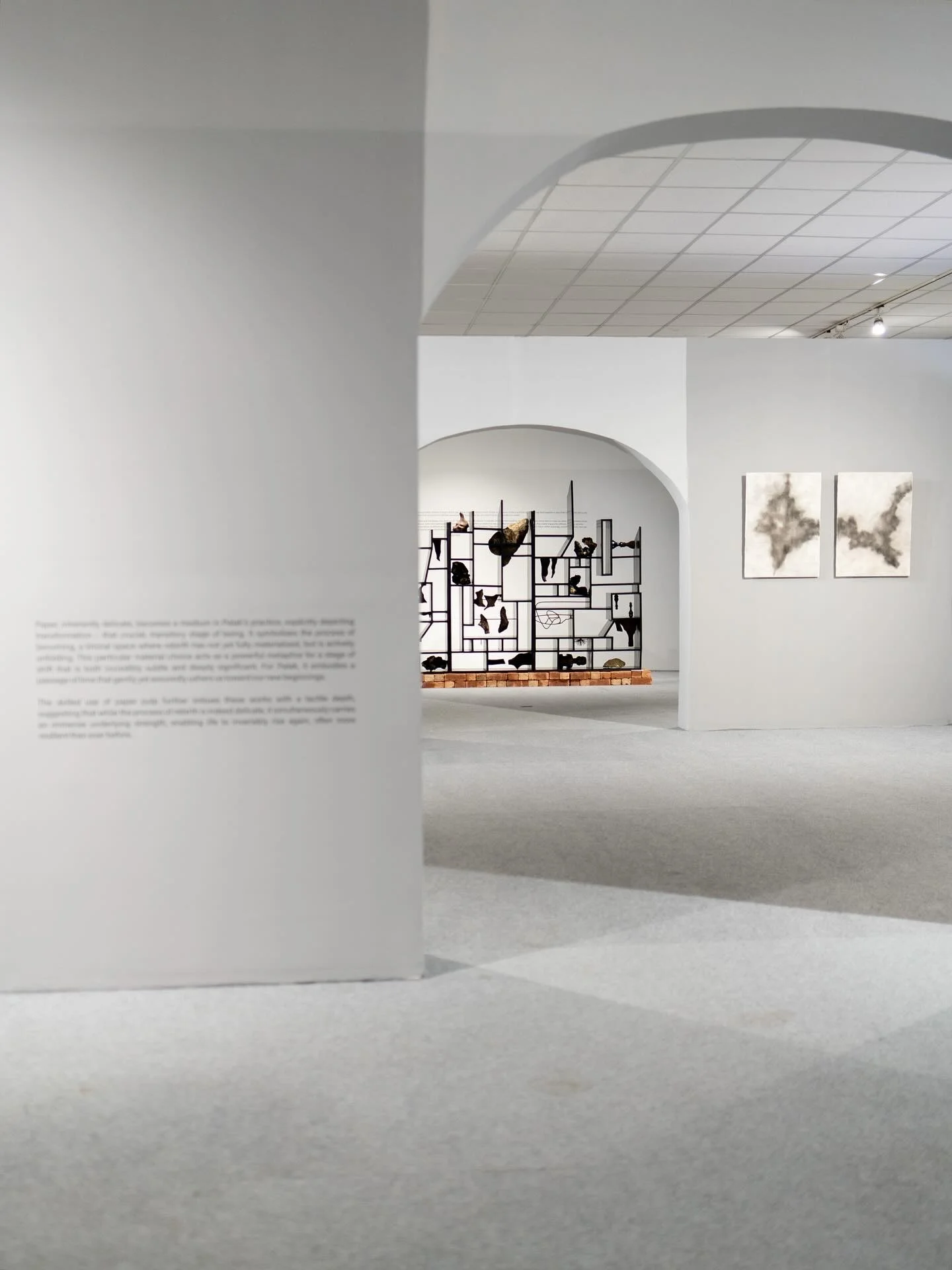Installation view 7